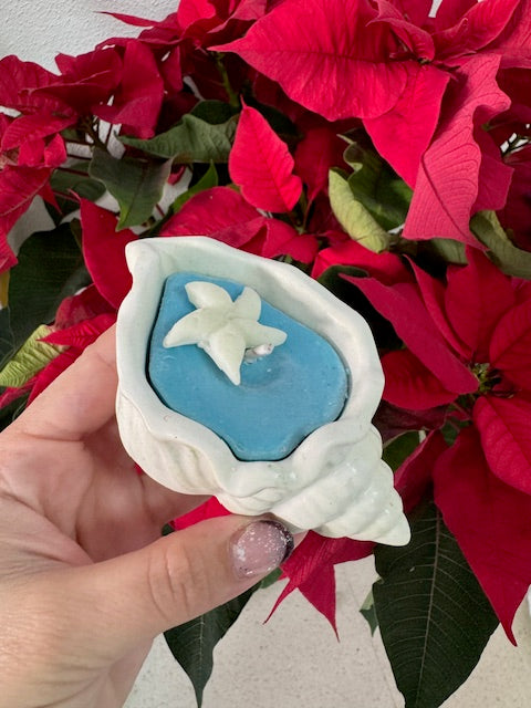 Vale caracola con estrellita